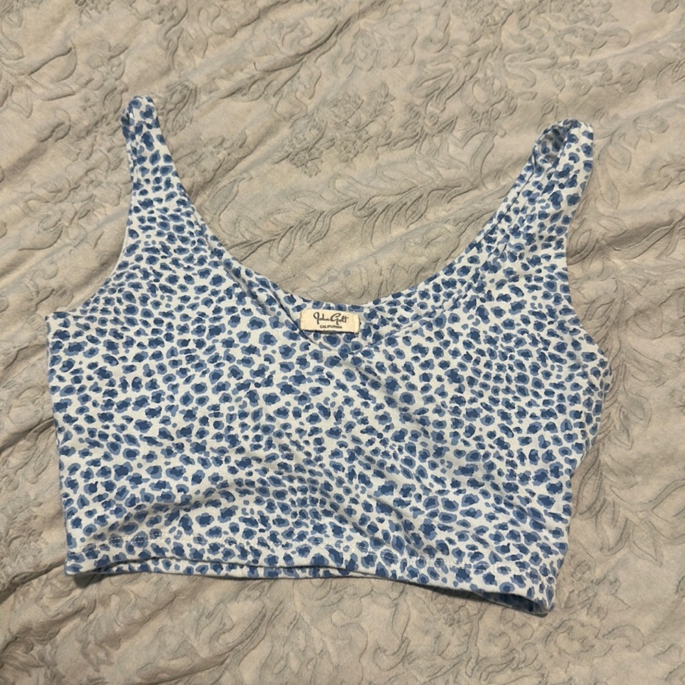 Brandy Melville Crop Top